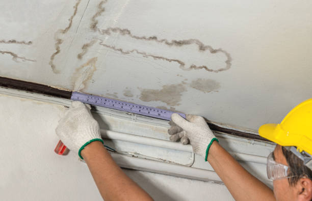 Reliable Mold Remediation contractor in Dover, MA by Water Damage Irwin